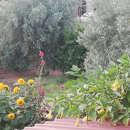 Frien Haus Appartement Kumluca